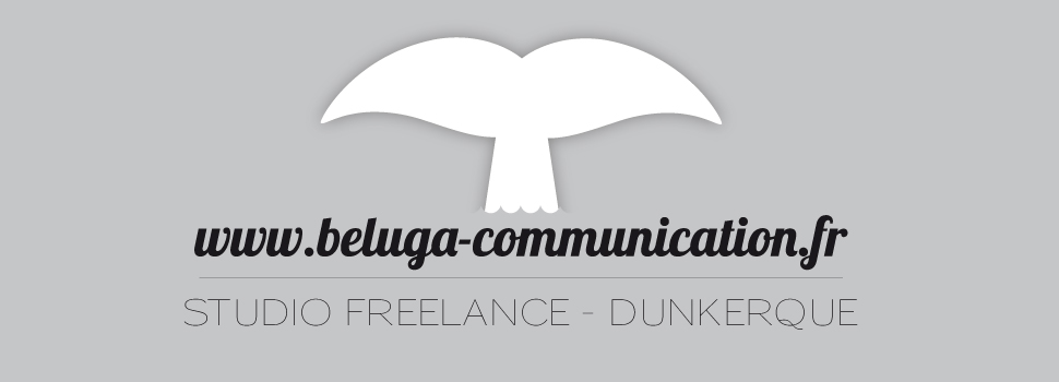 Beluga communication